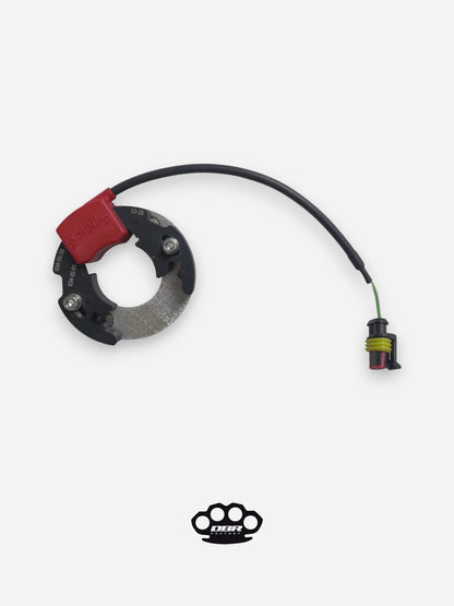 Statore Selettra - KTM Sx 50 Minicross con Placa de Adaptación Carter