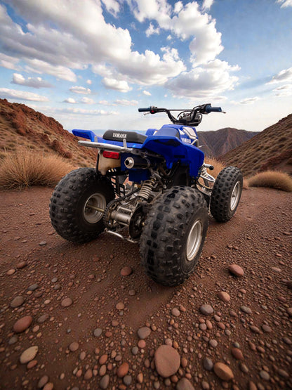 Solo Scarico in Titanio DBR per YAMAHA BLASTER 200cc ATV 1988–2009